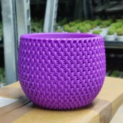 Cappl Plastic Pots 18 Cm New York Purple Colour Decorative Plastic Pot