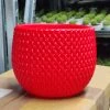 Cappl 18 Cm New York Red Colour Decorative Plastic Pot Plastic Pots
