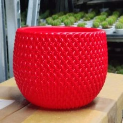 Cappl 18 Cm New York Red Colour Decorative Plastic Pot Plastic Pots