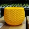 Cappl Plastic Pots 18 Cm New York Yellow Colour Decorative Plastic Pot