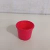CGASPL 3" Sunrise Pot Red (8.5 Cm)