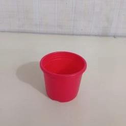 CGASPL 3" Sunrise Pot Red (8.5 Cm)