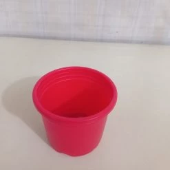 CGASPL 3" Sunrise Pot Red (8.5 Cm)