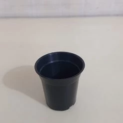 CGASPL Pot-Planters 2" Sunrise Pot Black (5.5 Cm)