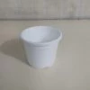 CGASPL 3" Sunrise Pot White (8.5 Cm) Pot-Planters