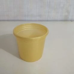 CGASPL 4" Flower Pot Gold Colour Sunrise Series (10 Cm) Pot-Planters