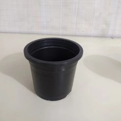 CGASPL Round Pots 4.75" Flower Pot Black Colour Sunrise Series (12 Cm)