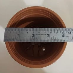 CGASPL Pot-Planters 4.5" Flower Pot Terracotta Color Sunrise Series (11 Cm) 12 CGASPL Pot-Planters 4.5