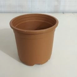 CGASPL Pot-Planters 4.5" Flower Pot Terracotta Color Sunrise Series (11 Cm)
