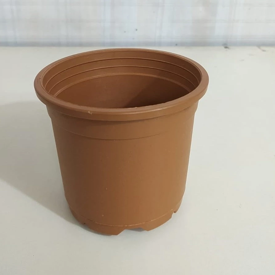 CGASPL Pot-Planters 4.5" Flower Pot Terracotta Color Sunrise Series (11 Cm) 4 CGASPL Pot-Planters 4.5" Flower Pot Terracotta Color Sunrise Series (11 Cm)