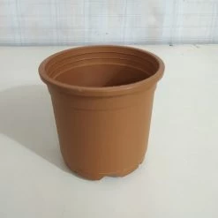 CGASPL Pot-Planters 4.5" Flower Pot Terracotta Color Sunrise Series (11 Cm)