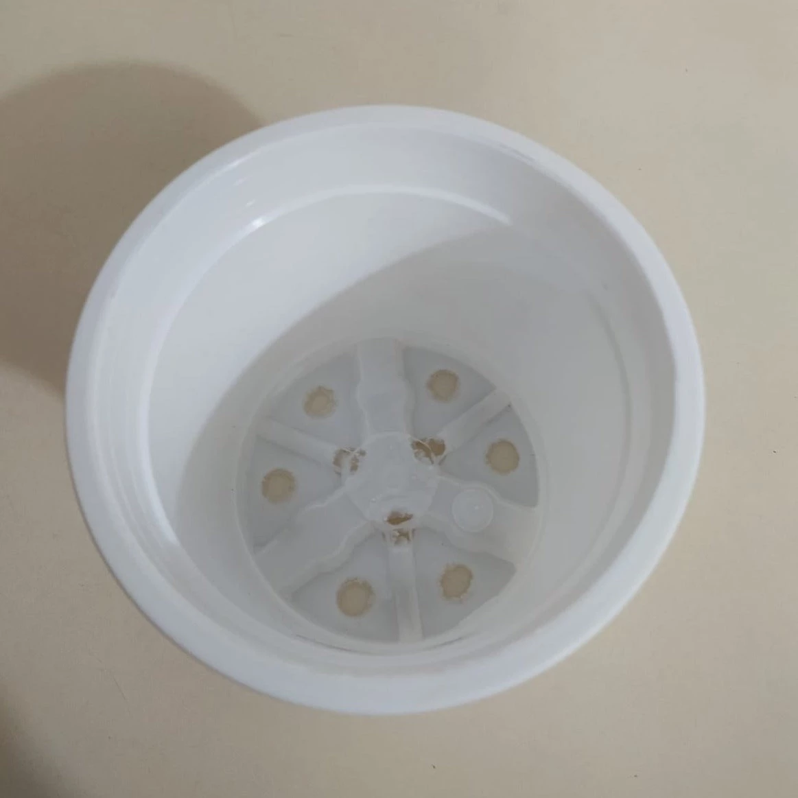 CGASPL Pot-Planters 4.5" Flower Pot White Color Sunrise Series (11 Cm) ( Pack Of 12) 5 CGASPL Pot-Planters 4.5" Flower Pot White Color Sunrise Series (11 Cm) ( Pack Of 12)