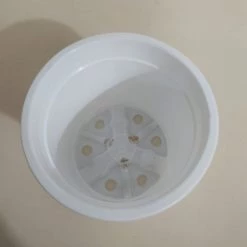 CGASPL Pot-Planters 4.5