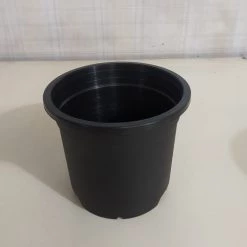 CGASPL 4.5" Flower Pot Black Color Sunrise Series (11 Cm) (Pack Of 12)