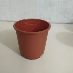 CGASPL 6" Flower Pot Terracotta Colour Sunrise Series (14.5 Cm) Round Pots