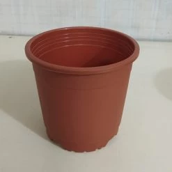 CGASPL Pot-Planters 6" Flower Pot Terracotta Colour Sunrise Series (14.5 Cm) ( Pack Of 12)