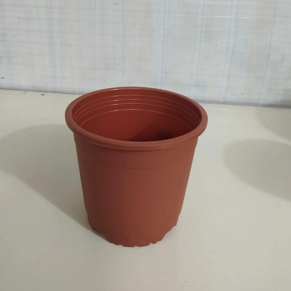 CGASPL Pot-Planters 6" Flower Pot Terracotta Colour Sunrise Series (14.5 Cm) ( Pack Of 12) 4 CGASPL Pot-Planters 6" Flower Pot Terracotta Colour Sunrise Series (14.5 Cm) ( Pack Of 12)