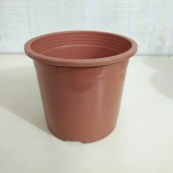 CGASPL 8" Flower Pot Terracotta Colour Sunrise Series (19.5 Cm) Round Pots