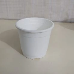 CGASPL 6" Flower Pot White Colour Sunrise Series (14.5 Cm) Pot-Planters