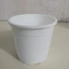 CGASPL 6" Flower Pot White Colour Sunrise Series (14.5 Cm) Pot-Planters 2 CGASPL 6" Flower Pot White Colour Sunrise Series (14.5 Cm) Pot-Planters