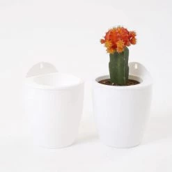 CGASPL Pot-Planters White-White Self Watering Hanging Planter Flower Pot