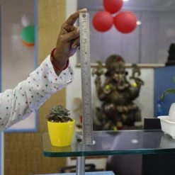 CGASPL 2.5 Inch Yellow Singapore Pot (67mm) Pot-Planters