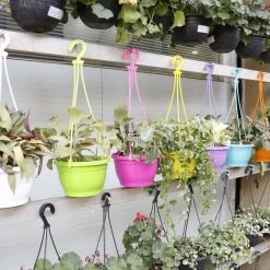 CGASPL Pot-Planters 10 Inch Hanging Pot Green