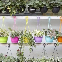 CGASPL 10 Inch Hanging Pot Violet Pot-Planters