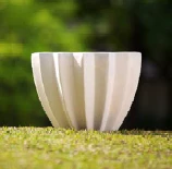 CGASPL Pot-Planters Oleander B Fiber Planter