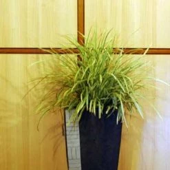 CGASPL Elegance Steel Mosaic Fiber Planter Pot-Planters