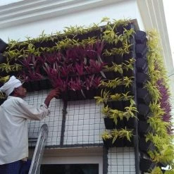 CGASPL Black Vertical Hook Pot Big Pot-Planters