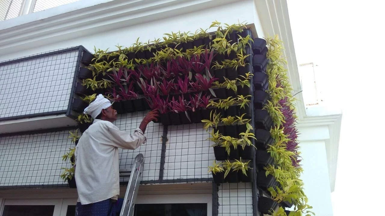 CGASPL Multicolour Vertical Hook Pot Big (Pack Of 6) 9 CGASPL Multicolour Vertical Hook Pot Big (Pack Of 6)