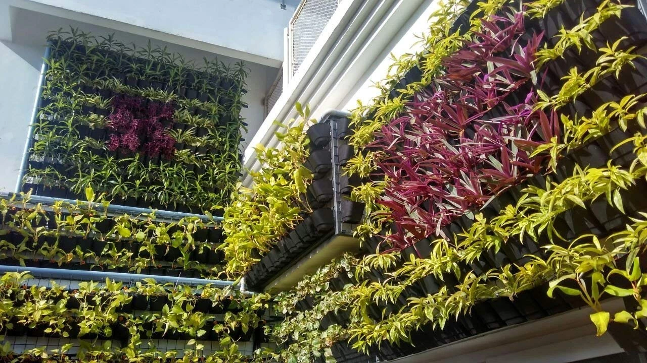 CGASPL Multicolour Vertical Hook Pot Big (Pack Of 6) 8 CGASPL Multicolour Vertical Hook Pot Big (Pack Of 6)