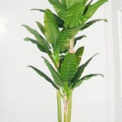 CGASPL Artificial Plants Artificial Banana Tree Real Touch X 3 - 10 Feet