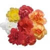CGASPL Begonia Tuberhybrida Illumination Mix Flower Seeds Imported Flower Seeds