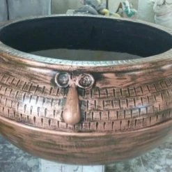 CGASPL Petunia Round Fiber Planter