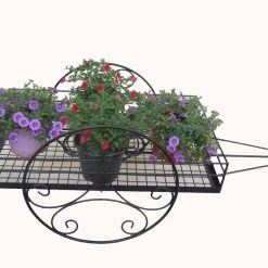 CGASPL Bullock Cart 9 CGASPL Bullock Cart