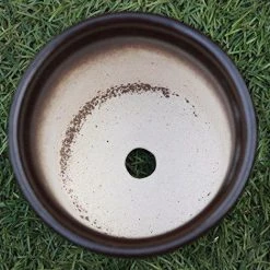 CGASPL Shiny Coffee Color Round Ceramic Pot (Pack Of 3) Pot-Planters