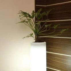 CGASPL Illuminated Planter 9151