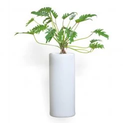 CGASPL Illuminated Planter 9151