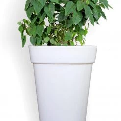 CGASPL Illuminated Planter 9157 Pot-Planters