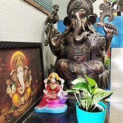 CGASPL Epipremnum Aureum Marble Queen Good Luck Money Plant Pot Included) With 5 Gram Fertilizer Free