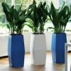 CGASPL Pandanus Square Fiber Planter