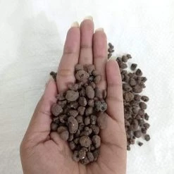 CGASPL Plant Food Clay Soil, Pop Balls, Hydroponic Leki Balls Small - 2.8 Mm Size - 20 Liter (Approx-8.2 Kg) 11 CGASPL Plant Food Clay Soil, Pop Balls, Hydroponic Leki Balls Small - 2.8 Mm Size - 20 Liter (Approx-8.2 Kg)
