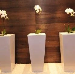 CGASPL Stainless Steel Ss Square Tappered Planter