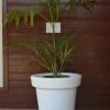CGASPL Illuminated Planters Round Small G3A Pot-Planters