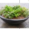 CGASPL Pot-Planters Stone Bowl Fiber Planter