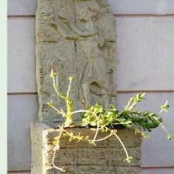 CGASPL Pot-Planters Hanging Egyptian Fiber Planter