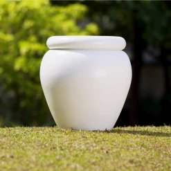 CGASPL Chrysanthemum Fiber Planter