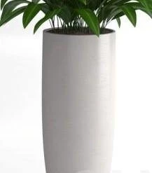 CGASPL Ashok  Fiber Planter Pot-Planters